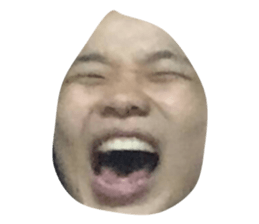 34080913