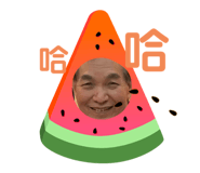 340826356