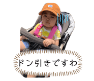 340887955