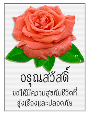 340969161