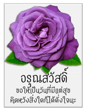 340969163