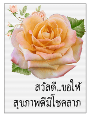 340969167