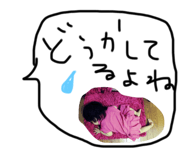 34097766