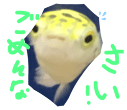 341183391