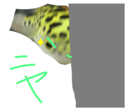 341183392