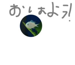 341183395