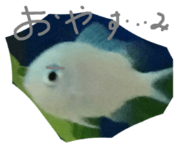 341183396