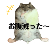341187674