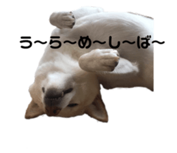 341190605
