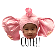 34125394