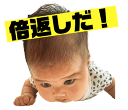 341330971