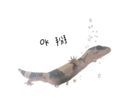 341346237