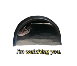 341346246