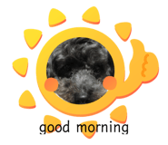 341353494