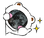 341353497