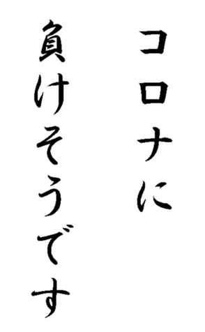 341355735