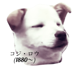341377014