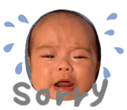 341386898