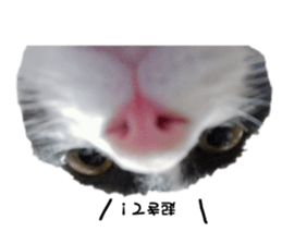 341402198