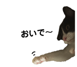 341402205