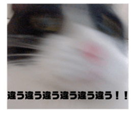341402208
