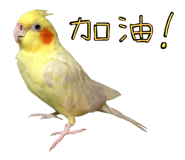 341417425