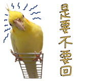 341417437