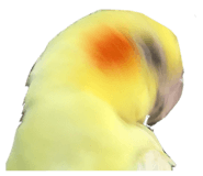 341417441