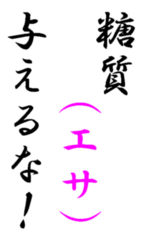 341420598