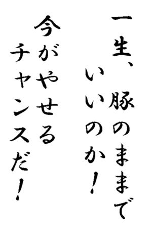 341420616