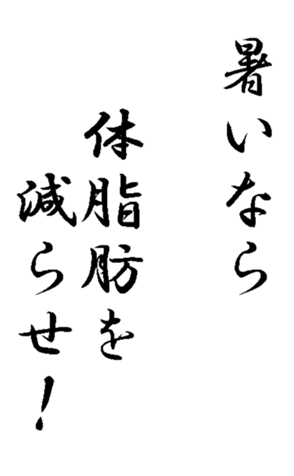 341420617