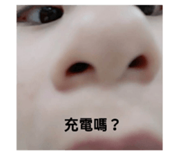 341485233