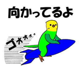 3416976