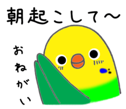 3416983