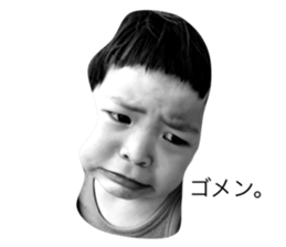 34178171