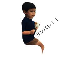 34178175
