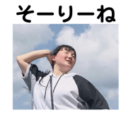 341804662