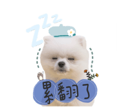342037815