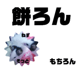 342080656