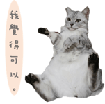34210080