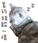 34210085