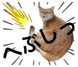 342108759