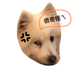 34211850