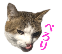 342121272