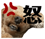 342126078
