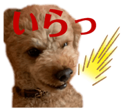 342126108