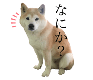 342154606