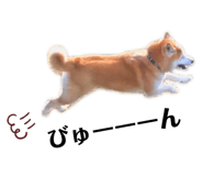 342154611