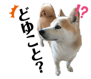 342154637