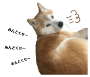 342154638